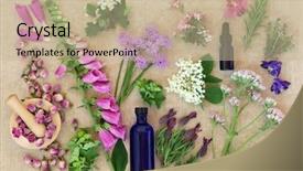  Presentation with aromatherapy oil - Audience pleasing PPT layouts consisting of aromatherapy remedies with essential oil backdrop and a soft green colored foreground
