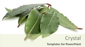  Presentation with leaves - Presentation theme having aromatic-bay-leaves-isolated background and a soft green colored foreground