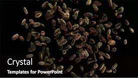  Presentation with cocoa beans - Colorful presentation theme enhanced with aromatic-cocoa-beans-flying-up backdrop and a black colored foreground