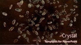  Presentation with cocoa beans - Amazing PPT theme having aromatic-cocoa-beans-flying-up backdrop and a wine colored foreground