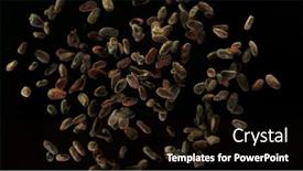  Presentation with cocoa beans - Presentation design consisting of aromatic-cocoa-beans-flying-up background and a black colored foreground