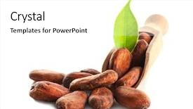  Presentation with cocoa beans - Colorful slide set enhanced with aromatic cocoa beans on white backdrop and a white colored foreground