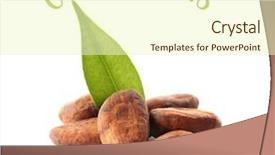 Presentation with cocoa beans - Cool new presentation theme with aromatic cocoa beans with green backdrop and a cream colored foreground