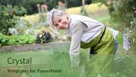  Presentation with herbs - Theme with aromatic herbs in kitchen garden background and a seafoam green colored foreground