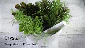  Presentation with herb for skin - Colorful slide deck enhanced with aromatics herb over mortar backdrop and a light gray colored foreground