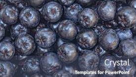 Presentation with black - Beautiful slide set featuring aronia-melanocarpa-black-choke-berrie backdrop and a ocean colored foreground