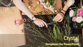  Presentation with black hands - PPT theme featuring arranged - top view of hands background and a tawny brown colored foreground