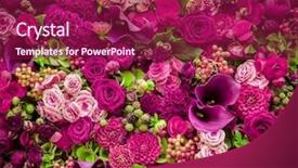  Presentation with abstract close up soap bubble - Slide deck having abstract background of flowers close background and a violet colored foreground