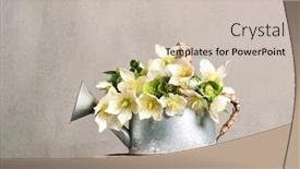  Presentation with first - Slide deck consisting of arrangement-of-first-spring-flowers background and a soft green colored foreground