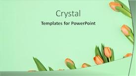  Presentation with tulips - Theme enhanced with arrangement-of-orange-tulips background and a soft green colored foreground