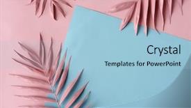  Presentation with palm leaves - Colorful presentation design enhanced with arrangement of pink palm leaves backdrop and a light blue colored foreground