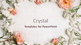  Presentation with pink roses - Slide deck featuring arrangement-of-pink-roses background and a sky blue colored foreground