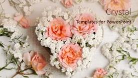  Presentation with pink roses - 