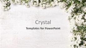  Presentation with pink roses - 