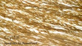  Presentation with oat - Presentation theme featuring arrangement-of-ripe-oat-ears background and a yellow colored foreground