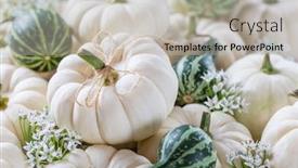  Presentation with green and white - Slide set enhanced with arrangement-with-small-white background and a light gray colored foreground