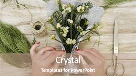  Presentation with paint high - Presentation theme consisting of arranging a bunch of mistletoe background and a  colored foreground