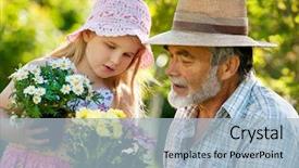  Presentation with grandfather - Presentation design with willow warbler phylloscopus trochilus in spring moscow region russia background and a gray colored foreground