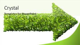  Presentation with white green - Cool new presentation with arrow sign from the green backdrop and a soft green colored foreground