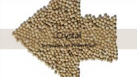  Presentation with direction - Slide set enhanced with sleeping newborn baby focus background and a lemonade colored foreground