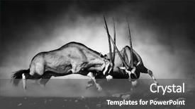  Presentation with artistic - Beautiful PPT theme featuring art - gemsbok dual artistic processing backdrop and a dark gray colored foreground
