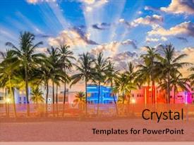 Miami Backgroundpowerpoint Miami Palm Trees Art PPT template 87 | CrystalGraphics