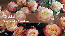  Presentation with roses - PPT theme enhanced with art deco green - fresh roses bouquet background and a  colored foreground