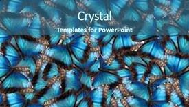  Presentation with butterfly - Presentation design with butterfly book - blue butterflies in the background background and a ocean colored foreground