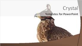  Presentation with art - Theme featuring art-of-falconry-azor-wearing background and a white colored foreground