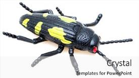  Presentation with insect - Audience pleasing PPT layouts consisting of united estates patriot symbol - happy 3d small person backdrop and a coral colored foreground