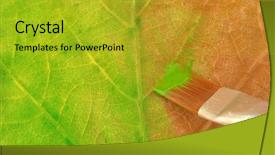  Presentation with transformation - PPT layouts consisting of art transformation - leaf coloring background and a gold colored foreground