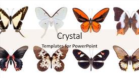  Presentation with butterflies - Beautiful slide set featuring dior - set of beautiful and colorful backdrop and a lemonade colored foreground