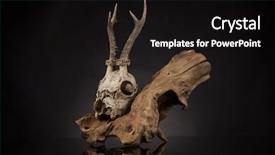  Presentation with deer - Beautiful slide deck featuring artemi - weathered deer skull black mirror backdrop and a  colored foreground