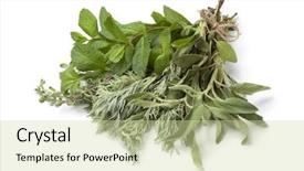  Presentation with lemongrass herb plant fresh leaves - Cool new presentation theme with artemisia - bouquet of fresh moroccan herbs backdrop and a  colored foreground