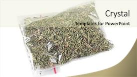  Presentation with plastic bag impact on environment - Beautiful theme featuring artemisia - dried tarragon in plastic zipper backdrop and a soft green colored foreground