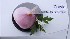  Presentation with onion - PPT layouts having artemisia - onion with mugwort herb background and a  colored foreground