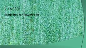  Presentation with plant - Presentation enhanced with artemisia-plant-in-the-field background and a seafoam green colored foreground