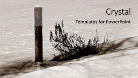  Presentation with post mortem - Amazing slide deck having artful image of a post backdrop and a  colored foreground