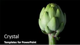  Presentation with market food - Slide set with artichoke-close-up-one-fresh background and a black colored foreground