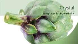  Presentation with edible flower - Colorful slide set enhanced with artichoke-flower-edible-bud-isolated backdrop and a mint green colored foreground