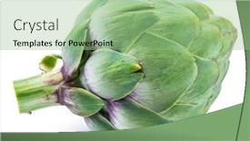  Presentation with edible flower - Audience pleasing PPT theme consisting of artichoke-flower-edible-bud-isolated backdrop and a seafoam green colored foreground