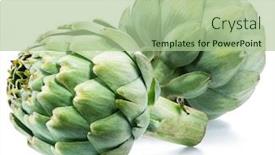  Presentation with edible flower - Cool new slide deck with artichoke-flower-edible-buds-isolated backdrop and a mint green colored foreground