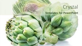  Presentation with edible flower - Slides having artichoke-flower-edible-buds-isolated background and a soft green colored foreground