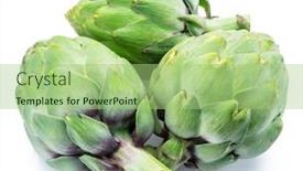  Presentation with edible flower - Audience pleasing theme consisting of artichoke-flower-edible-buds-isolated backdrop and a mint green colored foreground