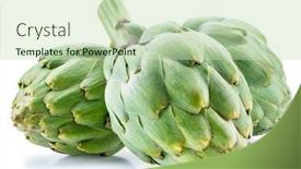  Presentation with edible flower - Slides enhanced with artichoke-flower-edible-buds-isolated background and a soft green colored foreground