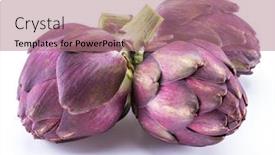  Presentation with edible flower - Colorful presentation theme enhanced with artichoke-flower-purple-edible-bud backdrop and a coral colored foreground