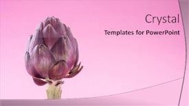  Presentation with edible flower - Slide set featuring artichoke-flower-purple-edible-bud background and a lemonade colored foreground