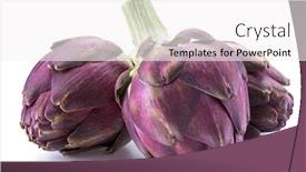  Presentation with edible flower - Amazing presentation design having artichoke-flower-purple-edible-bud backdrop and a white colored foreground