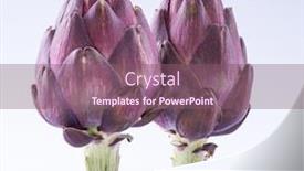  Presentation with edible flower - Presentation theme consisting of artichoke-flower-purple-edible-bud background and a violet colored foreground