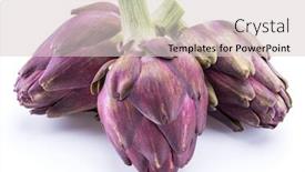  Presentation with edible flower - Slides enhanced with artichoke-flower-purple-edible-bud background and a light gray colored foreground